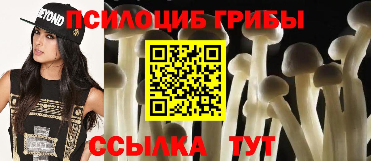 Киров  Галлюциногенные грибы GOLDEN TEACHER  Вход с VPN 